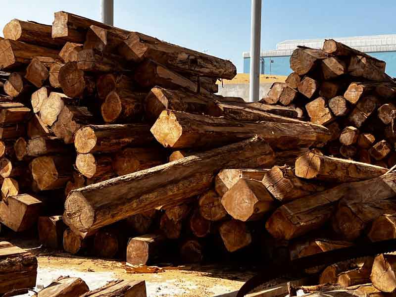 Wood Logs Suppliers and Manufacturers in Dubai, UA